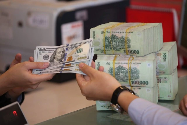 Cập nhật giá USD ngày 5/9/2024: Đô la tự do tụt giảm mạnh