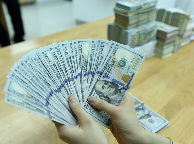 Cập nhật giá USD hôm nay 23.12.2024: Đồng đô la tự do đạt gần 26.000 đồng