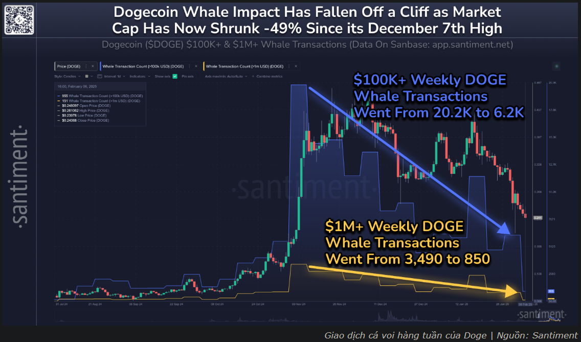 Tương lai giá DOGE ra sao khi cá voi rút lui?