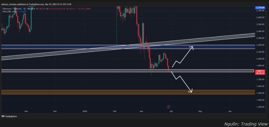Ethereum hút vốn lớn: Tín hiệu mua vào khi cá voi chi 58 triệu USD?