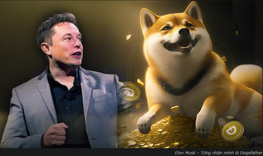 Musk bác bỏ tin đồn: Dogecoin không được chính phủ Mỹ cân nhắc sử dụng