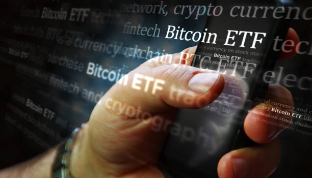 Dòng tiền tổ chức đẩy Bitcoin lập đỉnh, thị trường crypto dậy sóng