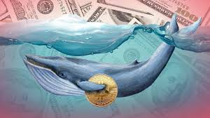 Bitcoin liệu có phục hồi khi cá voi vào cuộc ?