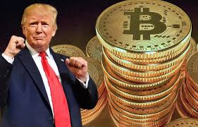 Bitcoin phục hồi mạnh mẽ, vượt ngưỡng $105,000 trước thềm lễ nhậm chức của Trump