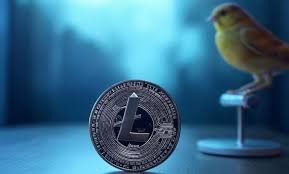 ETF Sui Sắp Ra Mắt ? Cơ Hội Đầu Tư Mới Đầy Tiềm Năng
