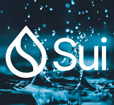 SUI Tạo Bước Nhảy Vọt Trên DEX – Nhưng Sự Bền Vững Vẫn Là Một Dấu Hỏi
