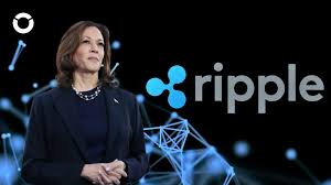 Chris Larsen, Chủ Tịch Ripple, Quyên Góp10 Triệu USD XRP Để Hỗ Trợ Chiến Dịch Của Harris