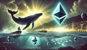 Cá Voi ICO Ethereum Khởi Xướng Đợt Bán Tháo Mới: 3.000 ETH Được Di Chuyển